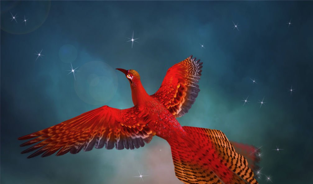 The Phoenix in Flight