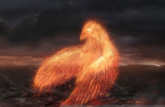 Phoenix Rebirth
